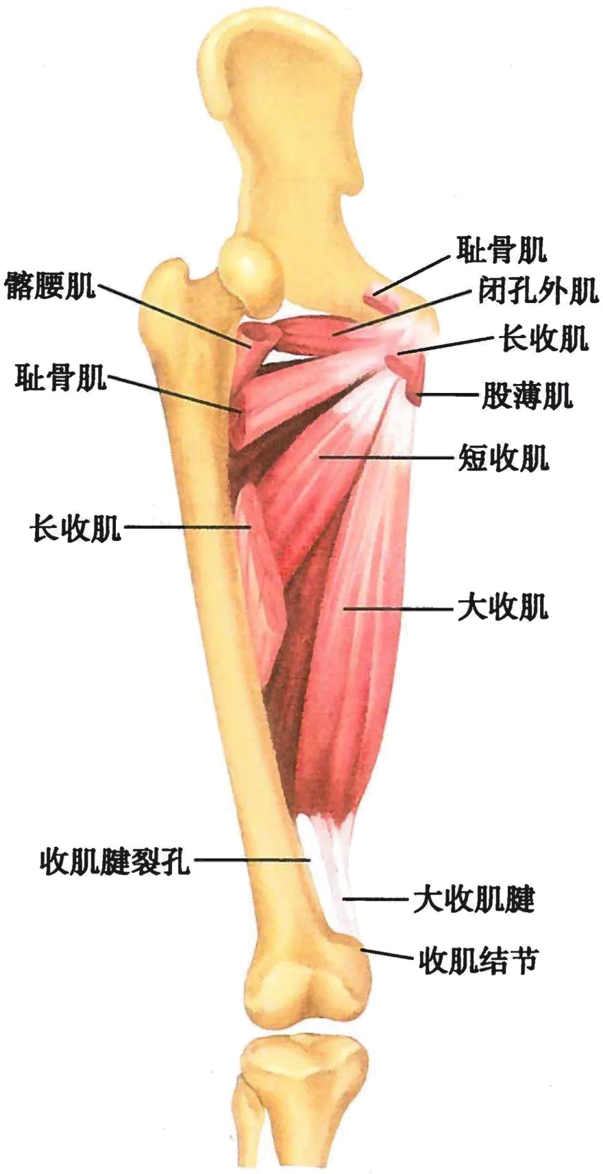 uploads/image/20241122/1732257387.png