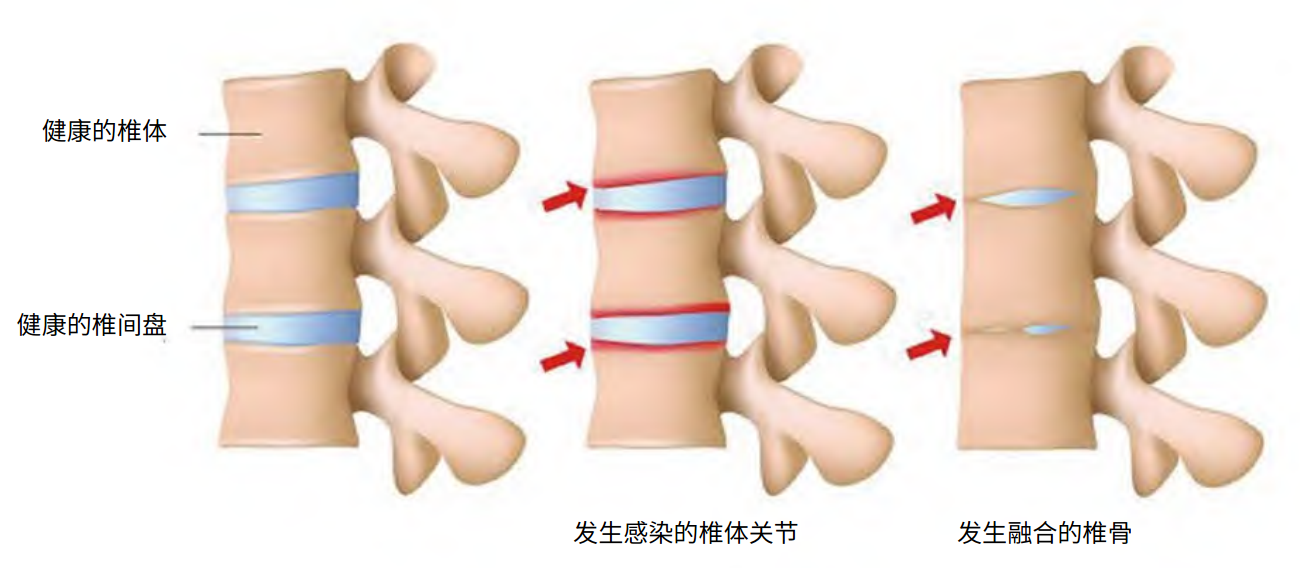 uploads/image/20250104/1735983944.png